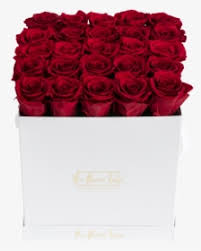 Maybe you would like to learn more about one of these? Flower Box Png Images Free Transparent Flower Box Download Kindpng