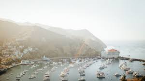 Shop for catalina island art prints from our community of independent artists and iconic brands. Catalina Island Is One Of L A S Best Kept Secrets Conde Nast Traveler