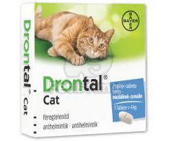 Katzenmütter sollten vor und nach einer geburt entwurmt werden. Bayer Drontal Fur Katzen Ab 5 59 Juli 2021 Preise Preisvergleich Bei Idealo De