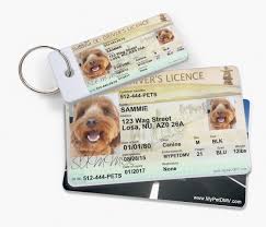 The following is a short list of online pet shops in canada. Canada Pet Driver S License Tags Mypetdmv Pet Driver S License And Id For All 50 States