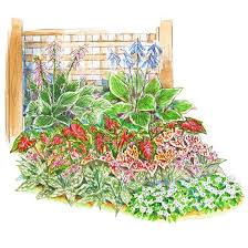 Pin By Wendy Carter Harker On Handy Garden Plans Ideas Garden Planning Flower Garden Plans Shade Garden