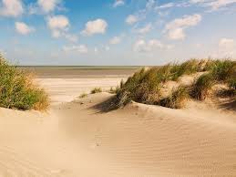 Traumhafte wälder und täler, traditionelle kulinarische genüsse und jede menge kunst und kultur zeichnen unser nachbarland belgien aus. Top 18 Ferienhauser Ferienwohnungen Belgische Kuste á… Sofort Buchbar