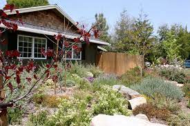 Plant natives amongst a bed of gravel. Low Maintenance Front Yard Landscaping Landscaping Network