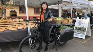 Civilized Cycles E Bike Fur Fahrrad Muffel Stern De
