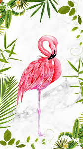 Fondoflamingo Flamingo Verano Summer Lukisan Flamingo Lukisan Kaktus Kertas Dinding