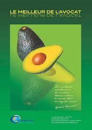 Http Www Fruitrop Com En Content Download 19719 344432 Version 4 File F174 Apples 26 Pears 2010 Uk Pdf