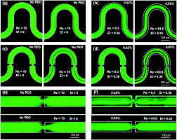 Už počas štúdia na mal veľký úspech s… Sheathless And High Throughput Elasto Inertial Bacterial Sorting For Enhancing Molecular Diagnosis Of Bloodstream Infection Lab On A Chip Rsc Publishing Doi 10 1039 D1lc00085c