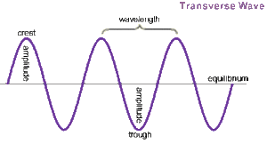 Mechanical waves can be either transverse or longitudinal. Transverse Wave And Longitudinal Wave Videos Concepts And Examples
