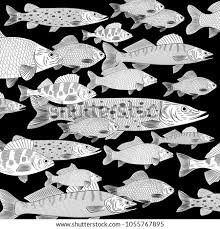 Shutterstock Puzzlepix