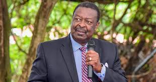 Help us build our profile of musalia mudavadi! Mudavadi Asks Uhuru To Form Committee To Pick Final Bbi Views