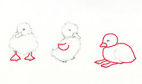 You will see that it is easy to do that using the method of gradual drawing. Adorable Art Learn How To Draw And Paint A Duckling Craftsy