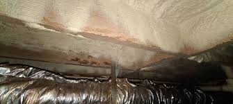 They won't be able to chew threw it or make nests. Is Spray Foam Good For My Crawl Space Sub Floor