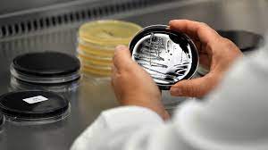Definition legionellose ist eine infektionskrankheit, die durch legionella pneumophila verursacht wird. Legionellen Gefahrliche Keime Im Trinkwasser Ndr De Ratgeber Gesundheit