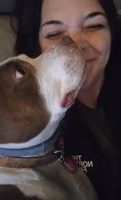 Hi I hope this is not just a site for advertising services would like some  advice. I'm going to be doing a month long sit for Britsh Short Hair she is  nervous