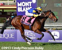 2013 breeders cup world championships results