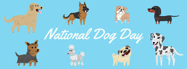 Now if you are looking for reasons to celebrate national dog day, you have more reasons to basically, one of the reasons for celebrating the day is that colin's family adopted his first dog shelty when he was 8, on this day on august 28. Celebrate National Dog Day With Red Cat Reading