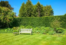 Check spelling or type a new query. 14 Types Of Hedges With Thorns Flowers Horticulture Co Uk