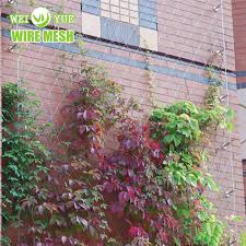 Maybe you would like to learn more about one of these? China 316 Stainless Steel Green Wall Climbing Plant Support Rope Net China Stainless Steel Rope Mesh Steel Cable Mesh