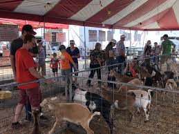 Petting zoo rentals are a great way to celebrate outdoors with friends and family. Farm Bureau Teams Up With Petting Zoo At Eastern Idaho Fair Idahofb Org
