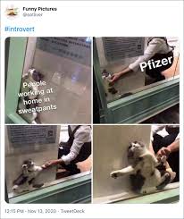 Fda orders j&j contractor emergent to stop vaccine production during inspection. Funniest Twitter Reactions To The Possible Vaccine Against Covid 19