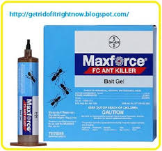 Ant baits is one of the most effective way to get rid of ants. Pest Control Diary Maxforce Carpenter Ant Bait Gel Odorous House Ants Pest Control Ant Pest Control