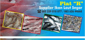 Karunia seafood (depot ikan laut) kabupaten banyum. Supplier Ikan Laut Plat R Posts Facebook