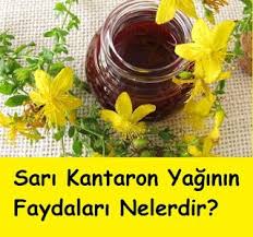 Sari Kantaron Yaginin Faydalari Herbs