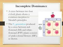 Introduction To Genetics Ppt Download