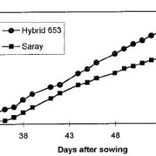 Plant powdery mildew resistant varieties. Pdf Powdery Mildew Resistant Summer Squash Hybrids Having Higher Yields Than Their Susceptible Commercial Counterparts