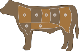Meat Chart Beef Butcher Free Vector Graphic On Pixabay