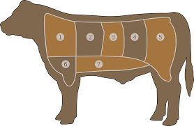 meat chart beef butcher free vector graphic on pixabay