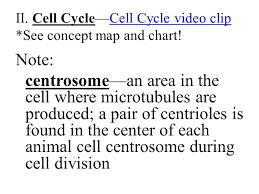 We did not find results for: Cell Cycle Mitosis Chromosomes I Chromosomes A Dna Deoxyribonucleic Acid B Chromatin Loose Dna Strands Uncoiled Ppt Download