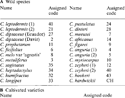 Image result for Cucumis humifructus