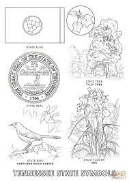 Provides maps, facts, state symbol coloring pages, poems, word searches, printable worksheets, games, book reviews, scramblers, puzzles and trivia for a complete unit of study. Tennessee State Symbols Coloring Page Free Printable Coloring Pages Flag Coloring Pages Bird Coloring Pages Flower Coloring Pages