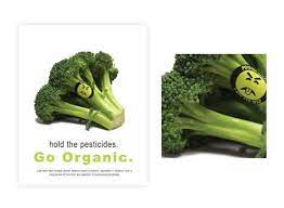 Why We Need To Recognize And Consider Organic Foods By Adam Mcmahon Medium