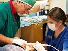 Consider the following points when it comes to your preventive dentistry program: Preventive Dental Care Preventive Dentists