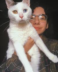 Malcolm Carson 🏳️‍⚧️🏳️‍🌈 (@curl_daddy) • Instagram photos and videos