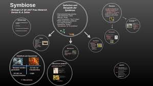 Check spelling or type a new query. Symbiose By Julian Wettlaufer