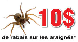 Avant De Penser A Faire L 39 Extermination Des Araignees Dans Votre Maison Il Faut Savoir Comment Eliminer Les Araignees De Insectes Araignee Punaises De Lit
