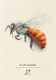 Bio Suisse Ads Graphic Design Advertising Advertising Design Print Ads