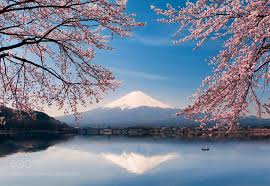 Check spelling or type a new query. Photo Groups Spring Landscape Mount Fuji Landscape Wallpaper