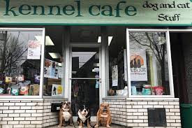 Find purebred akc puppies for sale and cute dogs for sale from local dog breeders near you. The Best Pet Stores In Toronto
