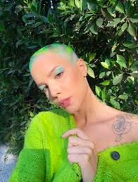 View past relationships, dating news, rumors, net worth, and full biography. Singer Halsey Criticized For Taking Part In Jokes About Black People Getting Super Powers On December 21 Thejasminebrand