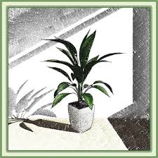 #pencil #sketch #craft #art #colour #popuartgalleryhow to draw a flower pot with pencil and colour. Example 5 Colored Pencil Drawing Of Pot Plant In The Window Download Scientific Diagram