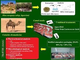 California has not done that, and has never been able to do that. Foods Free Full Text Improvement Of The Shelf Life Status Of Modified Atmosphere Packaged Camel Meat Using Nisin And Olea Europaea Subsp Laperrinei Leaf Extract Html