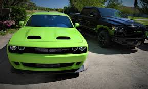 Image result for Autumn Shimmer 2019 LC