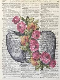 Anatomical Liver Human Liver Print Medical Art8x10 Etsy In 2021 Human Anatomy Art Anatomy Art Medical Art