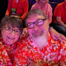 What are good seawall repair or rebuild recommendations?