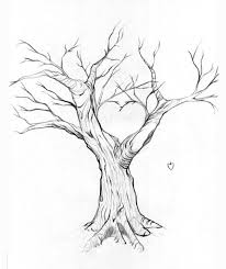 How to draw trees in pencil is a question by many of the beginners in pencil drawing. Pin By Angeln Sumthin On Family Tree Tree Drawings Pencil Tree Drawing Tree Art