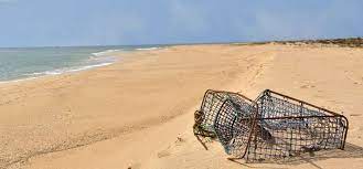 Deservedly known as the deserted island, barreta is a narrow 7 km long sandbank off the coast of faro. Ilha Da Barreta Deserta Island Faro Algarve Portugal